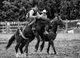 Methven Rodeo-6
