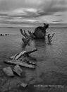 Ship's Graveyard
