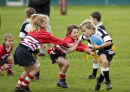 Ripper Rugby 23
