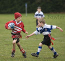 Ripper Rugby 22