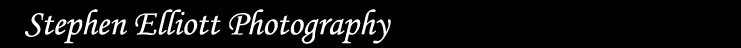 Stephen Elliott Photography