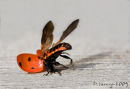 Crash landing!