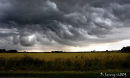 A forming storm