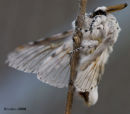 Just landing
