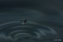 Drip drop