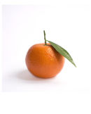 Tangerine