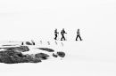 Marching Penguins and Marching Tourists