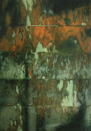 Fragment