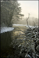 Winter Chill
