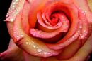 After the rain...