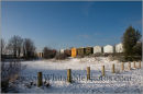 Snowy Whitstable